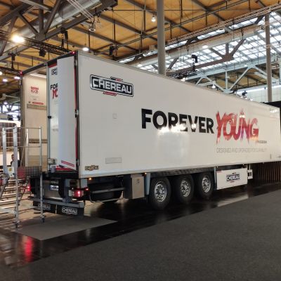 CHEREAU FOREVER YOUNG